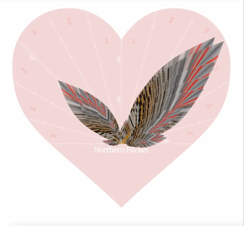 BirdLove