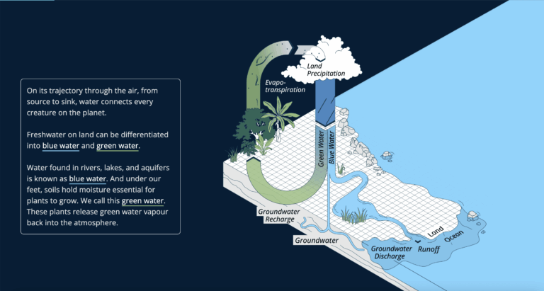 The Economics of Water