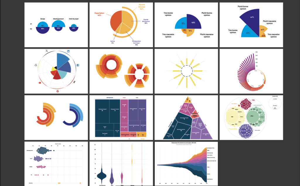 Illustrator_Dataviz