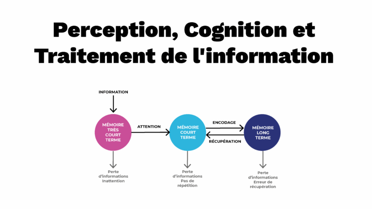 Perception et Cognition