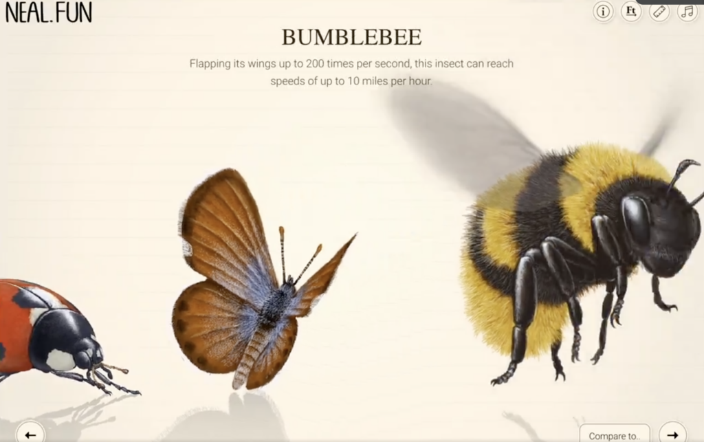 Sizes of Life on Earth